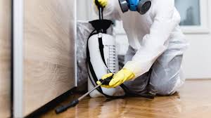 Best Real Estate Pest Inspections  in Splendora, TX